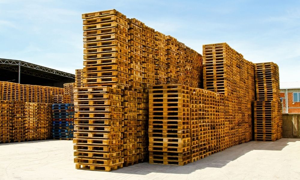 Hardwood vs. Softwood Pallets: Why Users Need Specs for Both