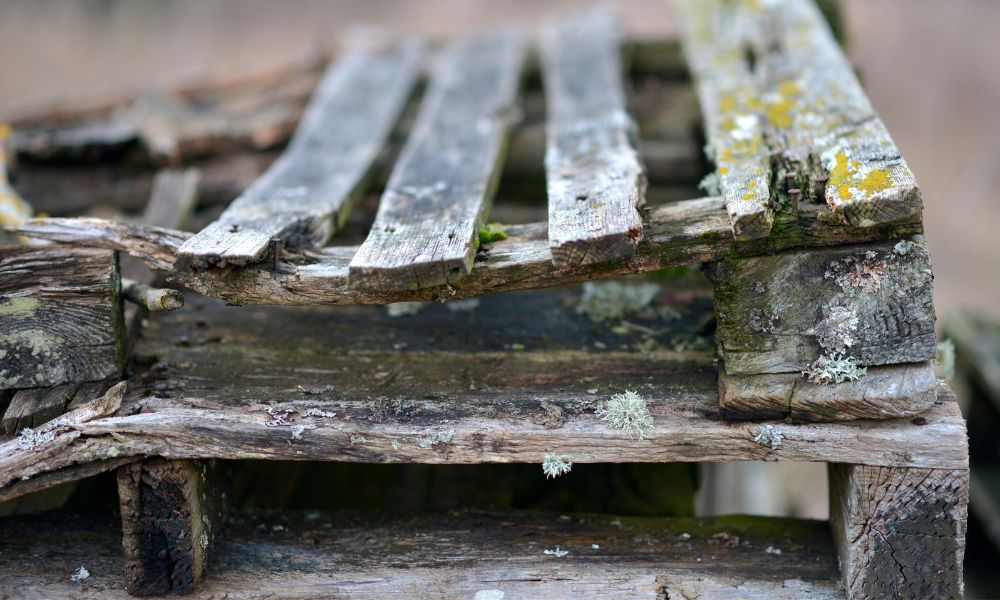 4 Tips To Prevent Your Wooden Pallets From Rotting