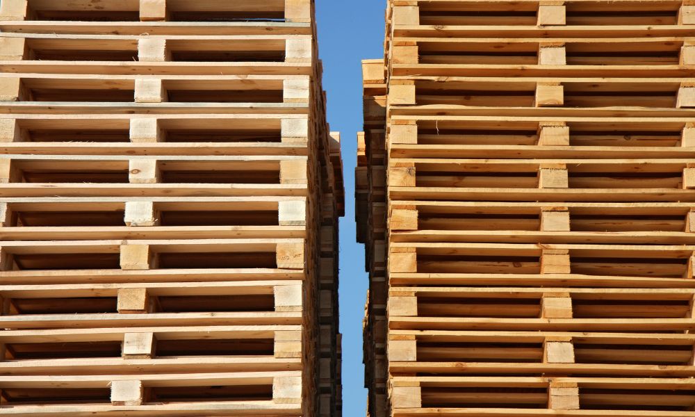 New vs. Recycled Pallets: Which Is Best for Your Business?