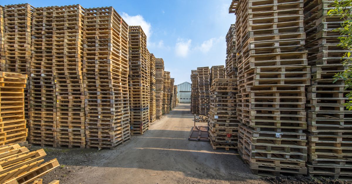 The Life Cycle of a Wooden Pallet Demystified